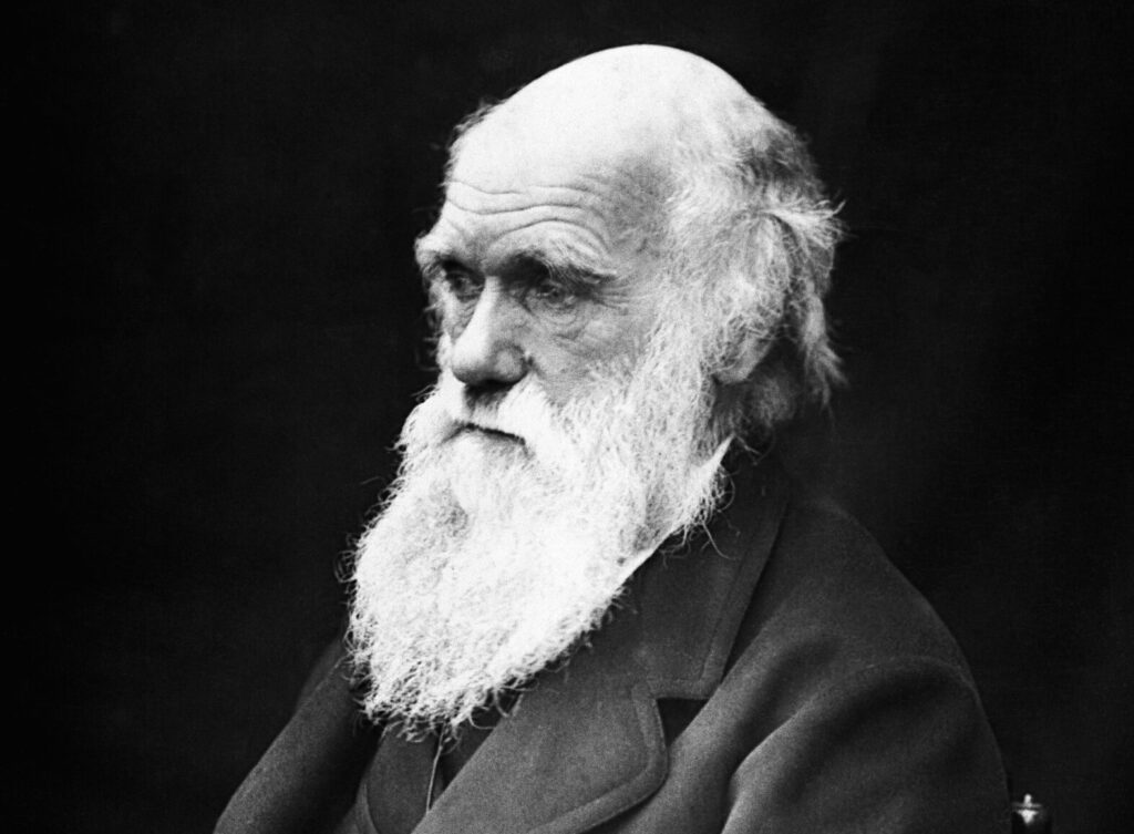 Charls Darwin (wikimedia Commons)